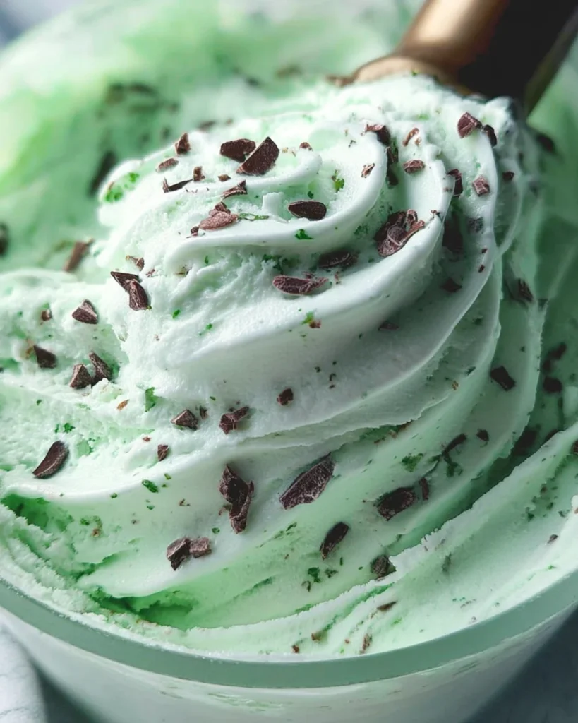 Ninja Creami Mint Chocolate Chip Ice Cream